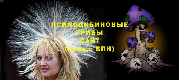 стаф Алексеевка