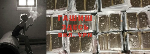 спиды Аркадак